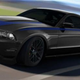 Illustration for article titled Ford Bringing Slew Of Tarted-Up Stangs To SEMA